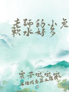 老师的小兔子好软水好多