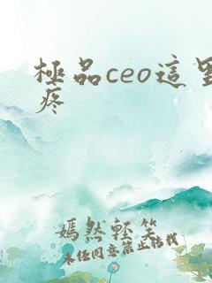 极品ceo这里疼