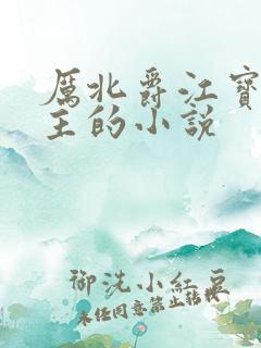 厉北爵江宝宝男主的小说