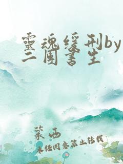 灵魂缓刑by 二团书生