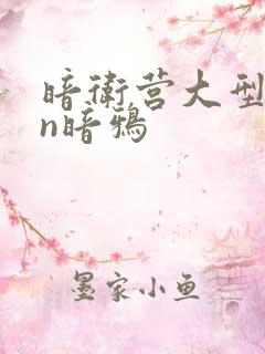 暗卫营大型hpn暗鸦