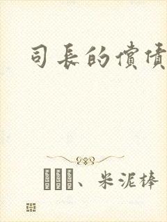司长的偿债新娘