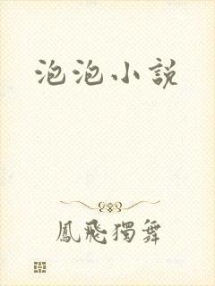 泡泡小说