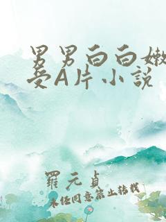 男男白白嫩嫩小受A片小说