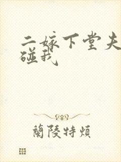 二嫁下堂夫君别碰我