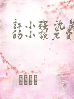 许小强 沈丽娟的小说免费阅读