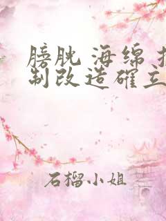 膀胱 海绵 控制改造确立m