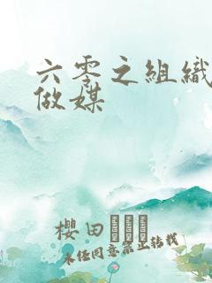 六零之组织给我做媒