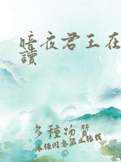 暗夜君王在线阅读
