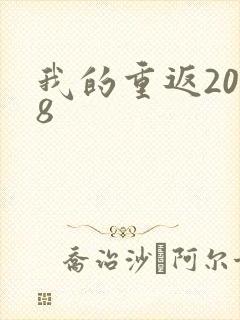 我的重返2008