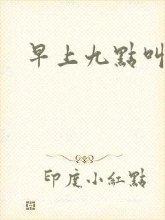 早上九点叫醒我