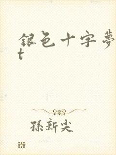 银色十字梦txt
