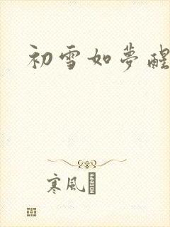 初雪如梦醒