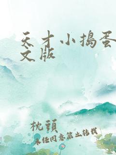 天才小捣蛋2中文版