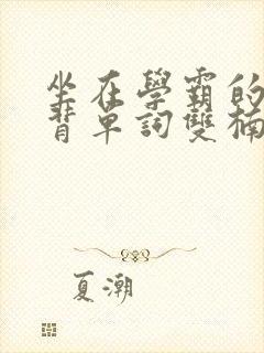 坐在学霸的棍子背单词双楠