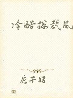 冷酷总裁风流妻