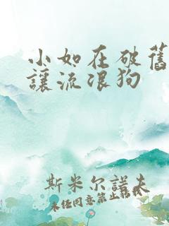 小如在破旧仓库让流浪狗