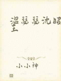 温瑟瑟沈昭摄政王