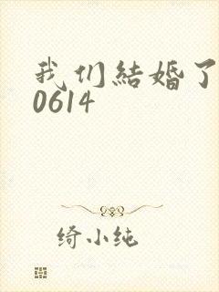 我们结婚了130614