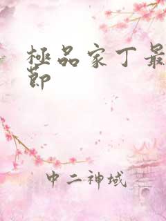 极品家丁最新章节