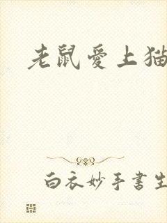 老鼠爱上猫下载