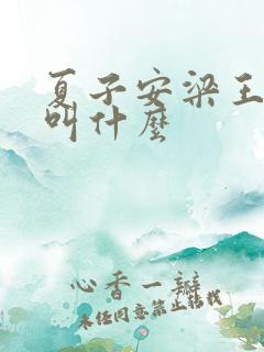 夏子安梁王书名叫什么