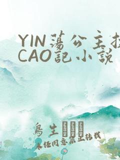 YIN荡公主挨CAO记小说