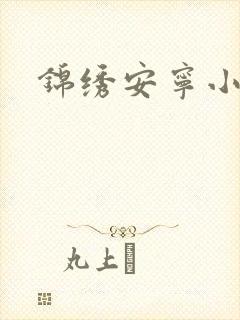 锦绣安宁小说