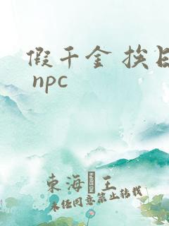 假千金 挨日记 npc