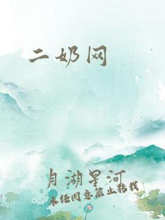 二奶网
