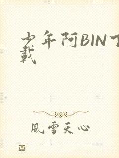 少年阿BIN下载