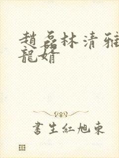 赵磊林清雅上门龙婿