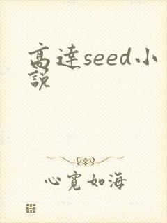 高达seed小说