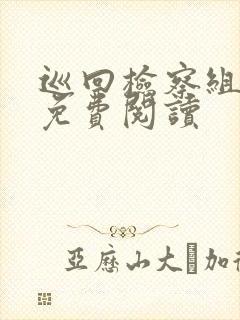 巡回检察组小说免费阅读