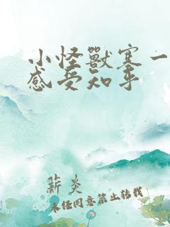 小怪兽塞一天的感受知乎