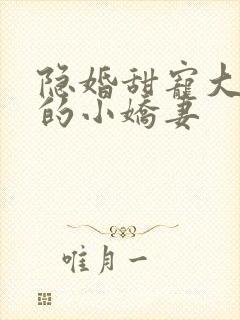 隐婚甜宠大财阀的小娇妻