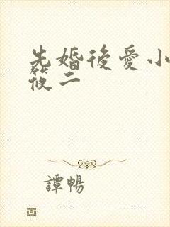 先婚后爱小说梦筱二