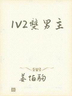 1V2双男主