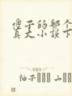 傻子的那个东西真大小说下载