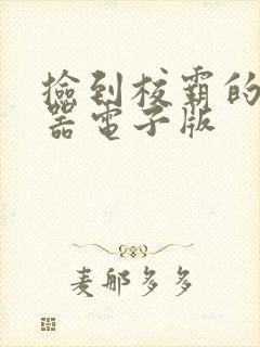 捡到校霸的遥控器电子版