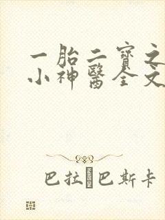 一胎二宝之弃妃小神医全文免费阅读