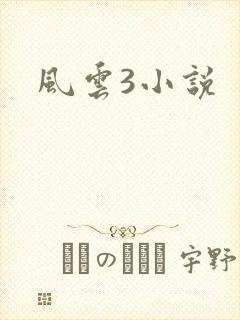 风云3小说