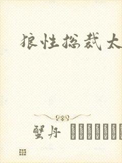 狼性总裁太凶猛