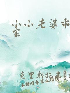 小小老婆乖乖回家