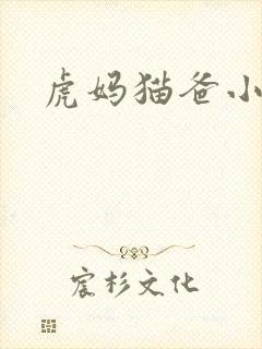虎妈猫爸小说
