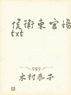 侯卫东官场笔记txt