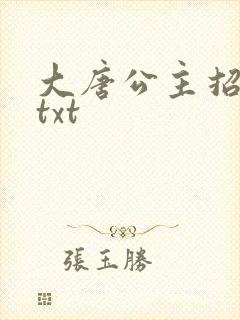 大唐公主招亲记txt