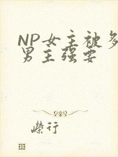 NP女主被多个男主强要