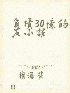 负债30亿的男友小说