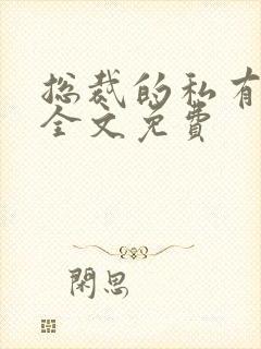 总裁的私有宝贝全文免费